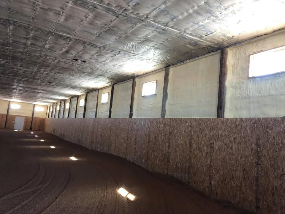 How Does Spray Foam Help Maintain Healthy Environments in Animal Shelters How Does Spray Foam Help Maintain Healthy Environments in Animal Shelters