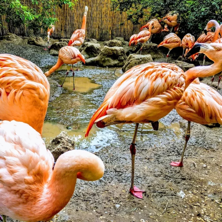 Idaho Falls Zoo at Tautphaus Park