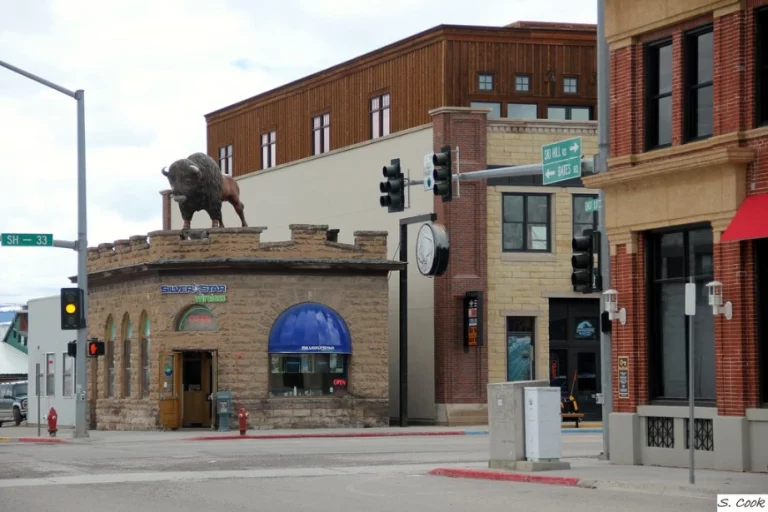 Bridger-Teton National Forest
