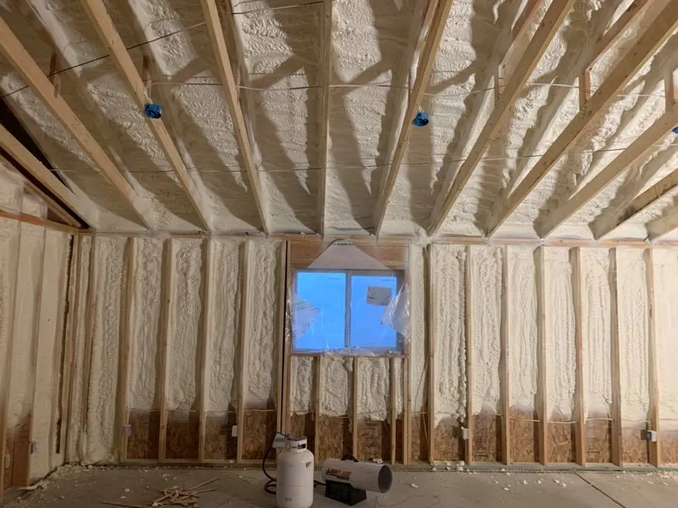 Health Risks Associated with Old or Contaminated Insulation Health Risks Associated with Old or Contaminated Insulation