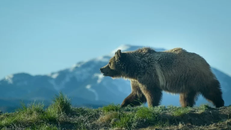 Intermittent Spring Trailhead