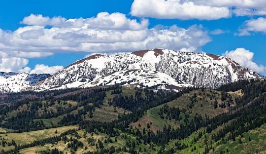 Intermittent Spring Trailhead