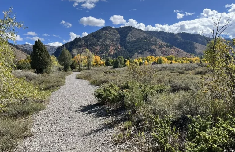 Bridger-Teton National Forest